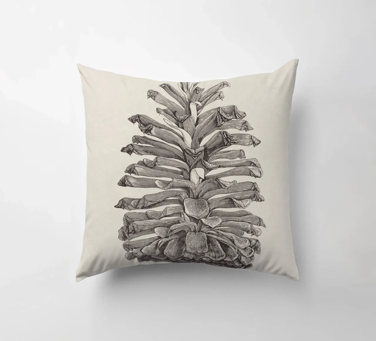 Pine Cone Sketch cuscino da apoloprints