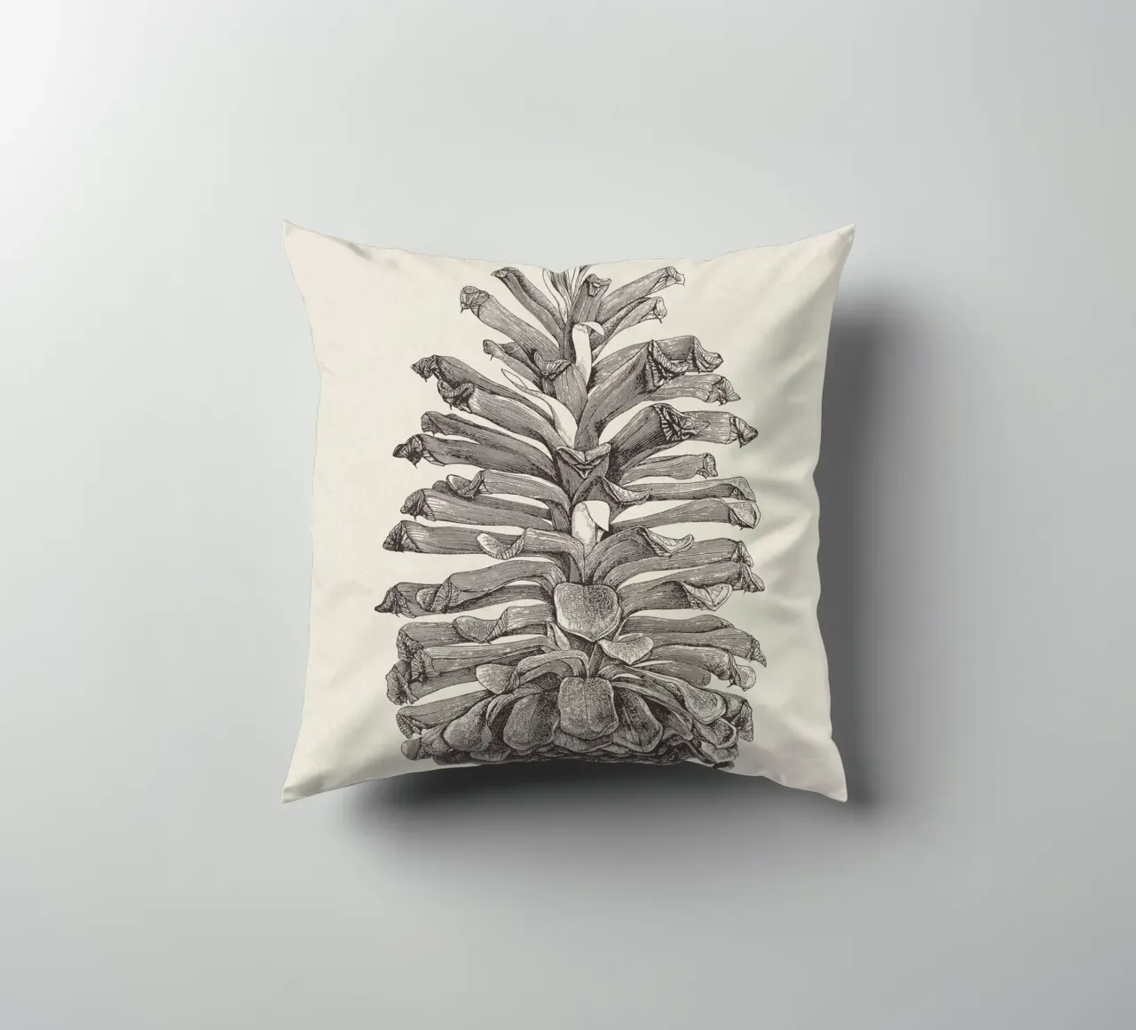 Pine Cone Sketch cuscino da apoloprints