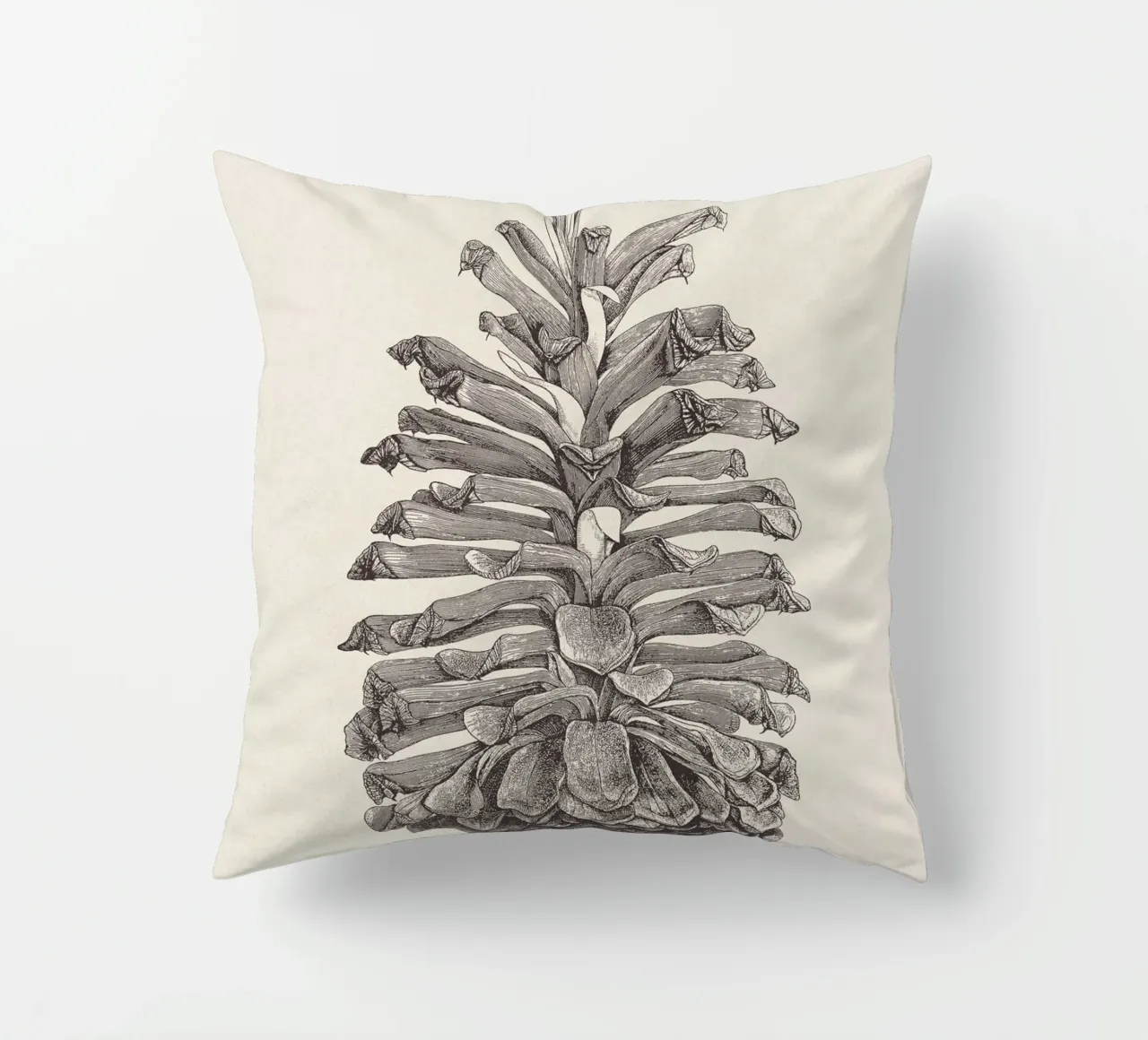 Pine Cone Sketch cuscino da apoloprints