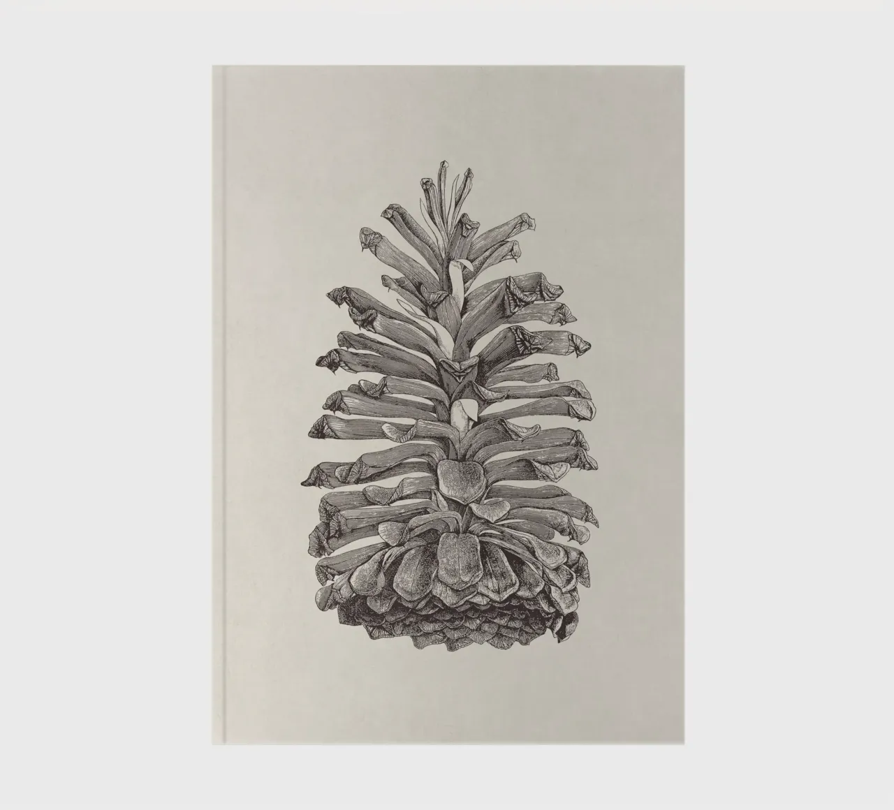 Pine Cone Sketch notebook by apoloprints