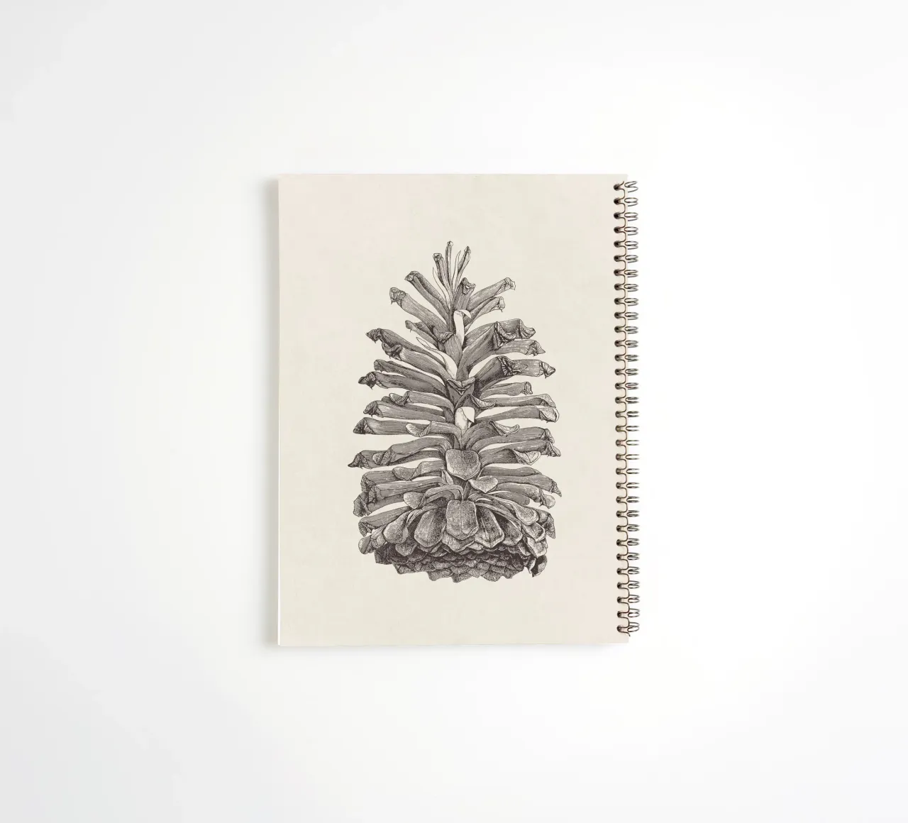 Pine Cone Sketch spiral notebook by apoloprints