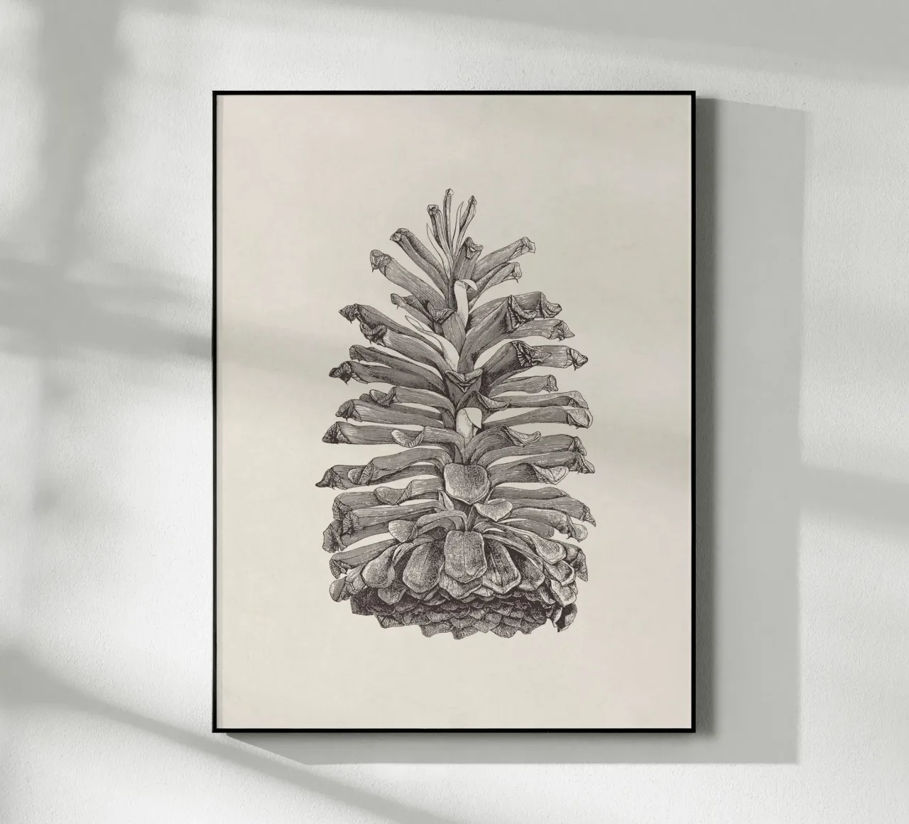 Schizzo di pigna plexiglass da apoloprints