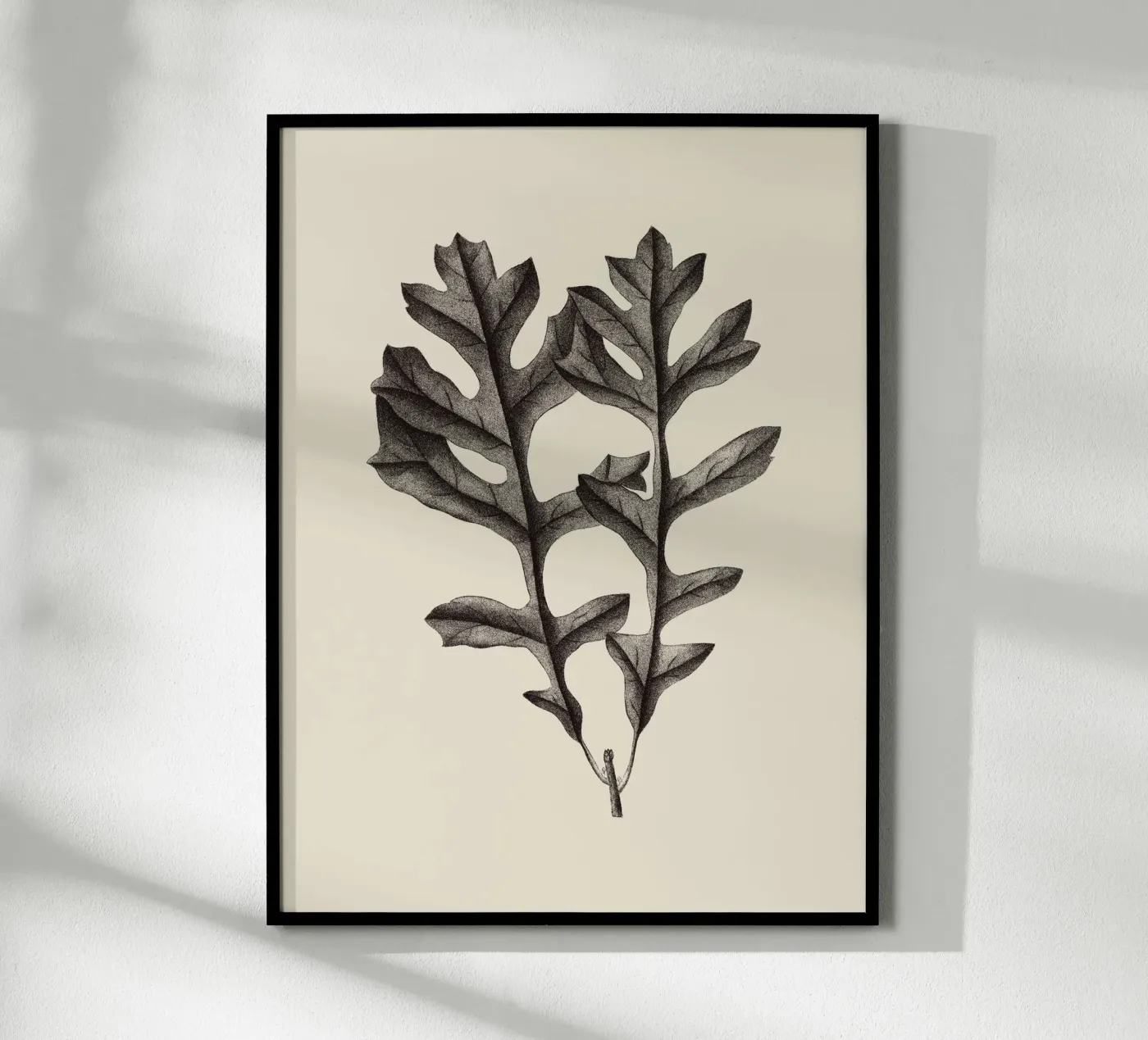 Eikenblad nr. 4 poster van Apolo Prints