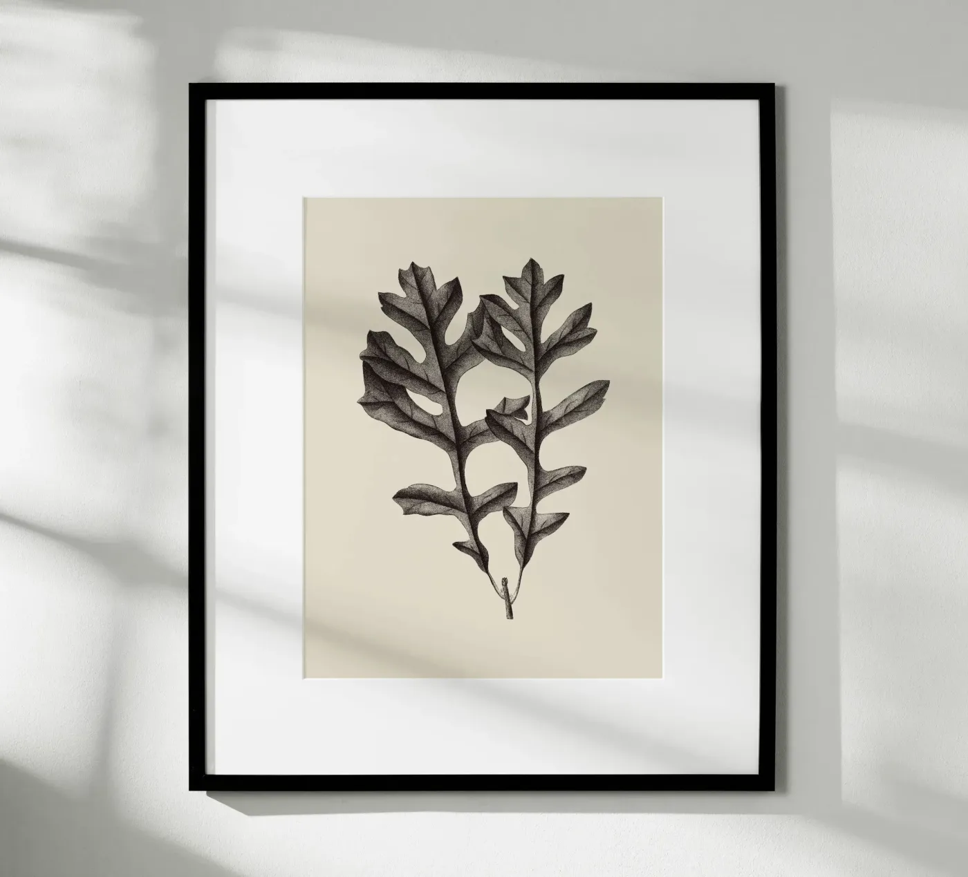 Eikenblad nr. 4 poster van Apolo Prints