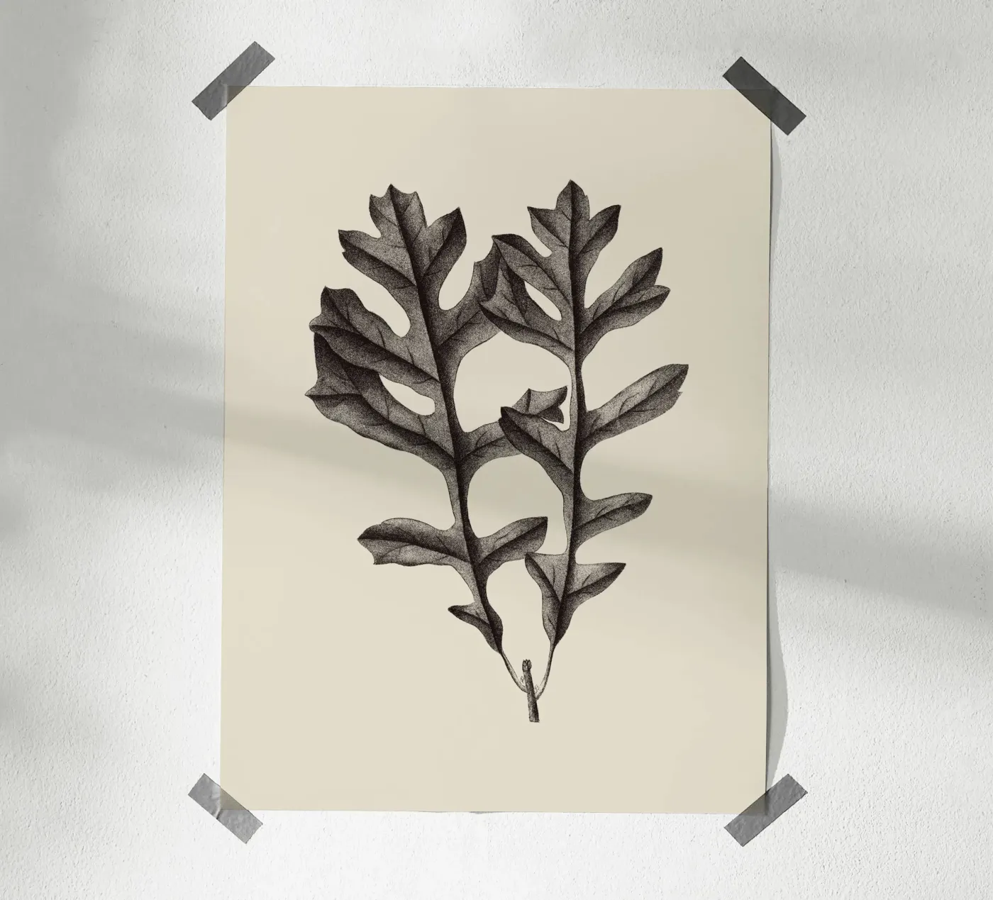 Eikenblad nr. 4 poster van Apolo Prints