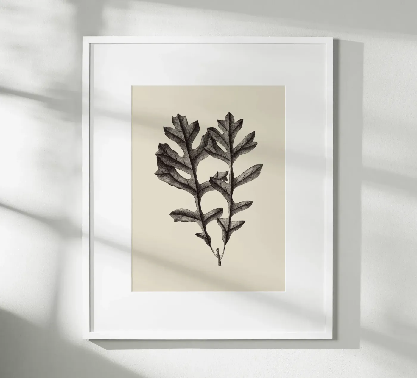 Eikenblad nr. 4 poster van Apolo Prints