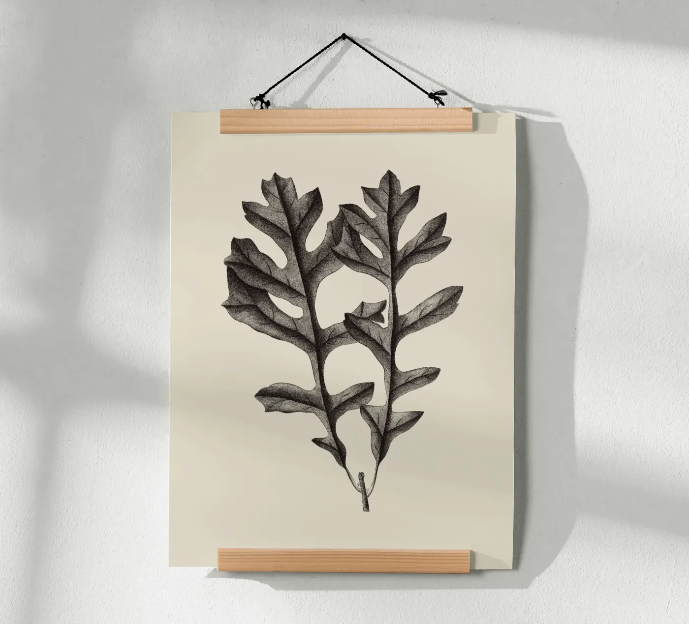 Eikenblad nr. 4 poster van Apolo Prints