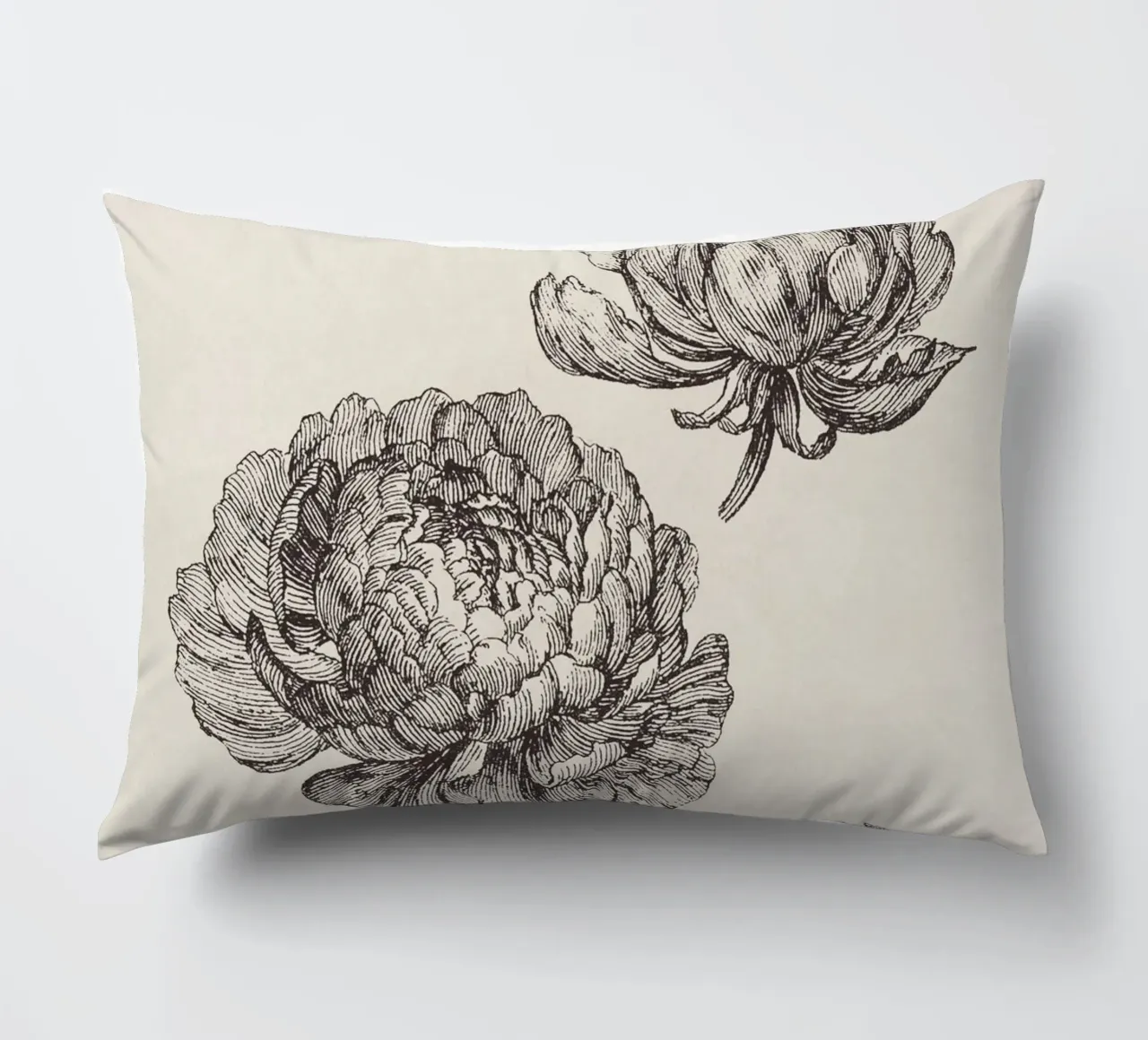 Peonies Sketch no. 2 cuscino da apoloprints