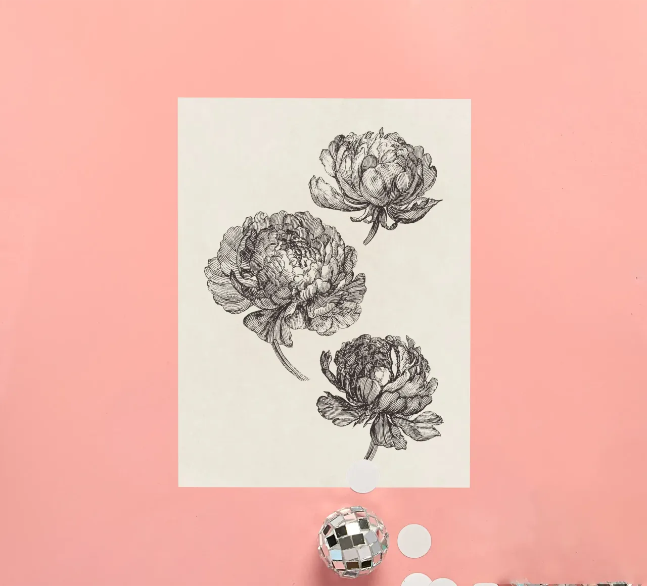 Peonies Sketch no. 2 adesivo da apoloprints