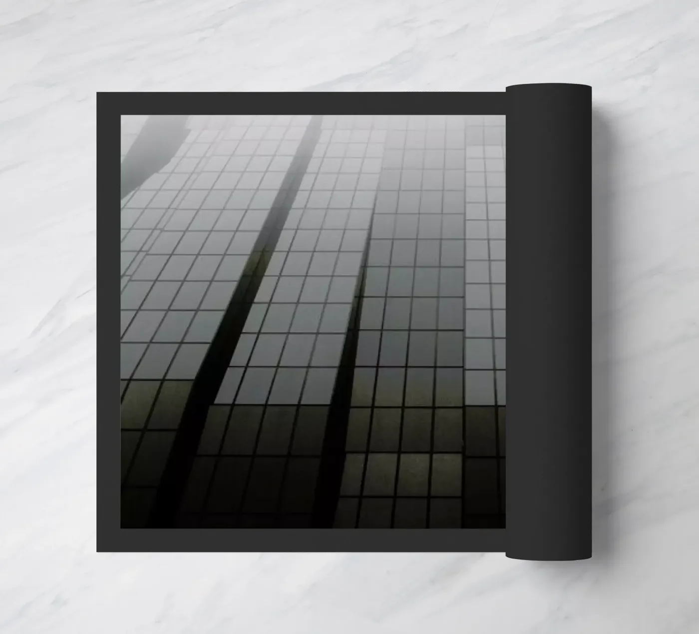 In Transition zerbino da Picture On The Fridge