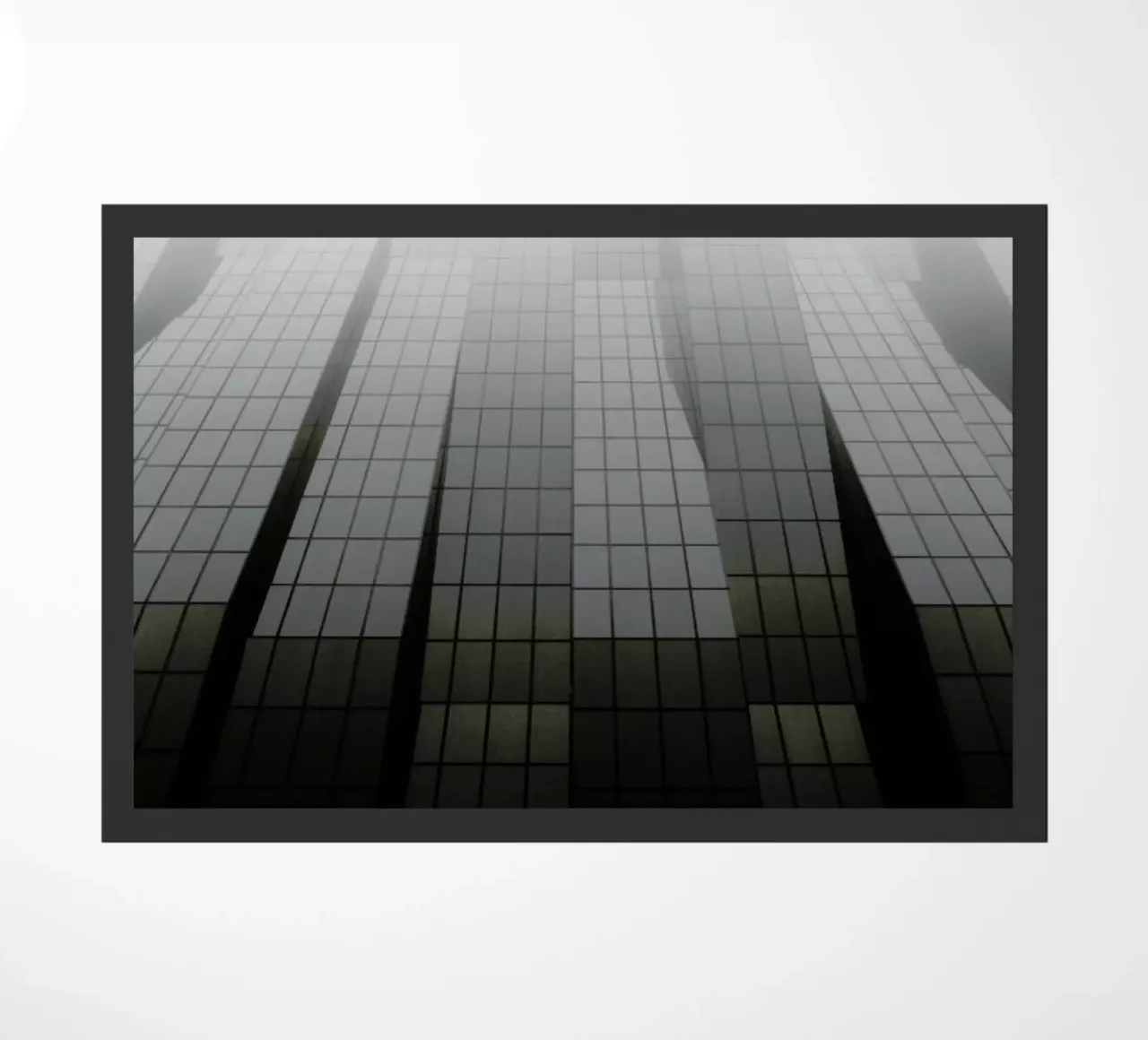 In Transition zerbino da Picture On The Fridge