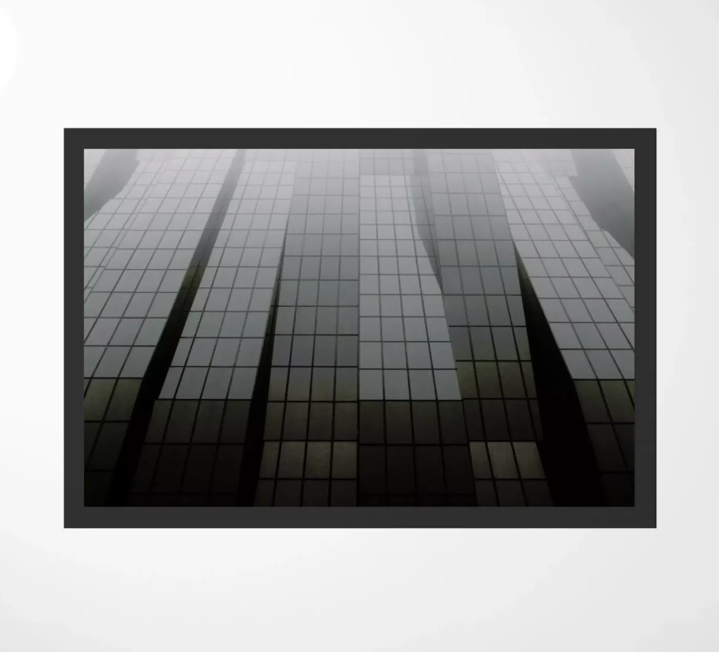 In Transition zerbino da Picture On The Fridge