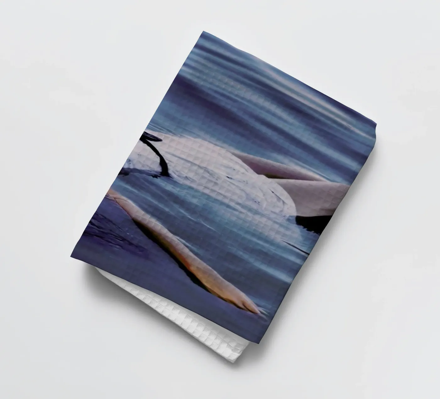 Soaking torchon de Jovana Rikalo