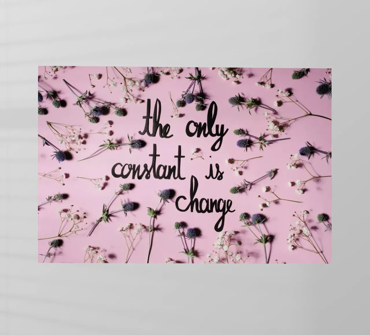 Change pellicola backlit da Jana Otto