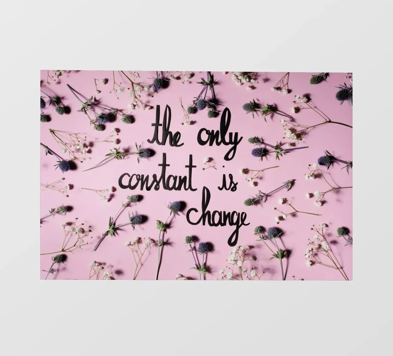 Change telo in pvc da Jana Otto