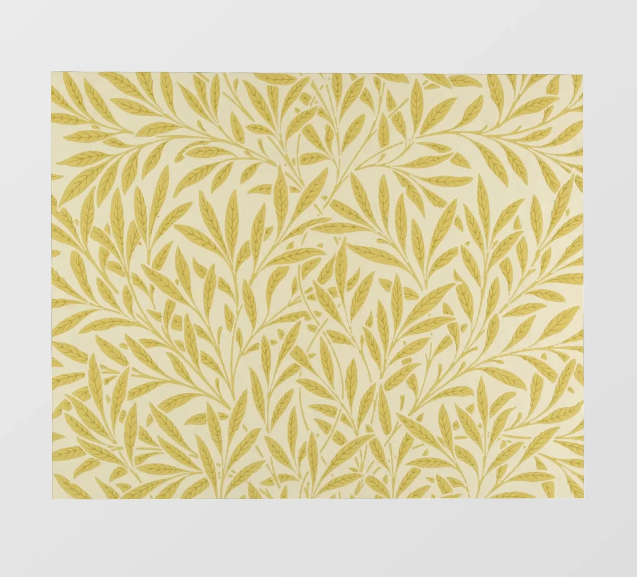 Morris - Rami di salice, giallo pellicola backlit da William Store