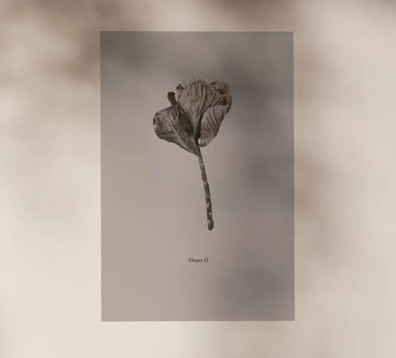 Botanico II pellicola backlit da Elena Veronese