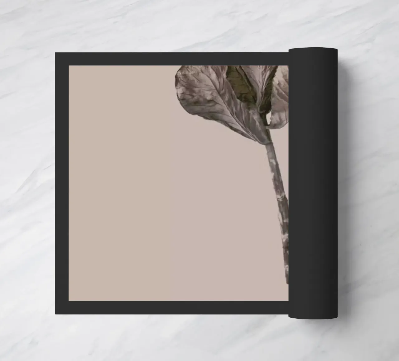 Botanico II zerbino da Elena Veronese