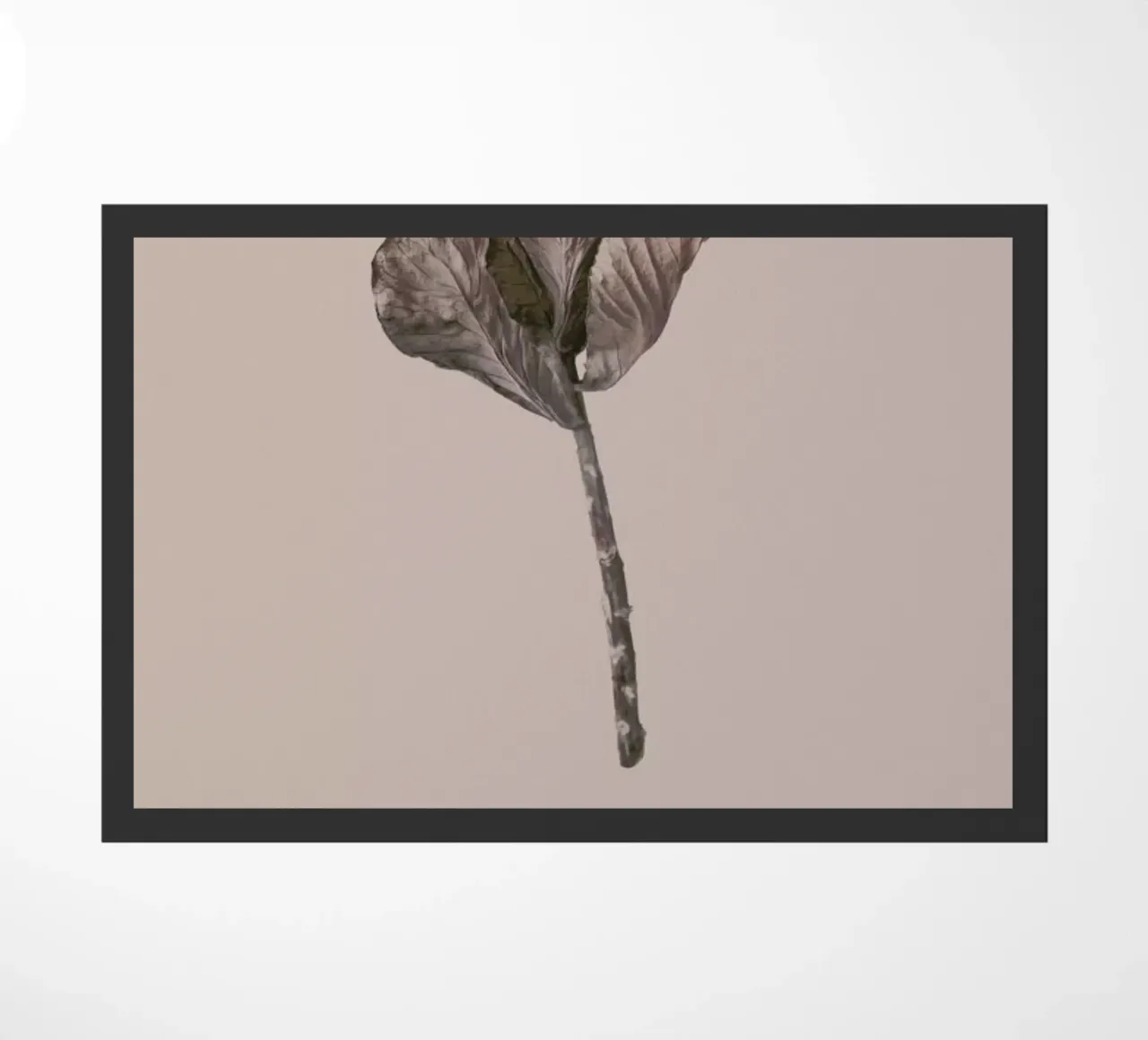 Botanico II zerbino da Elena Veronese