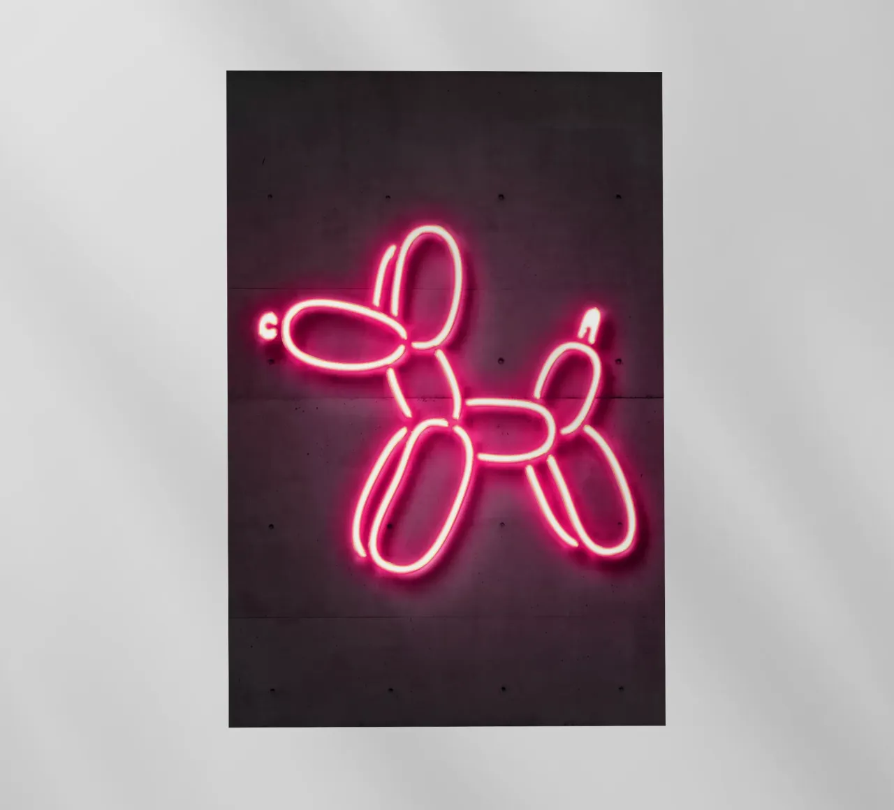 Balloon Dog pellicola backlit da Octavian