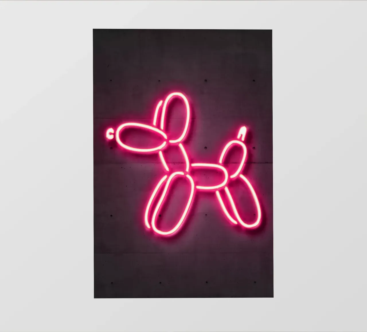 Balloon Dog pellicola backlit da Octavian