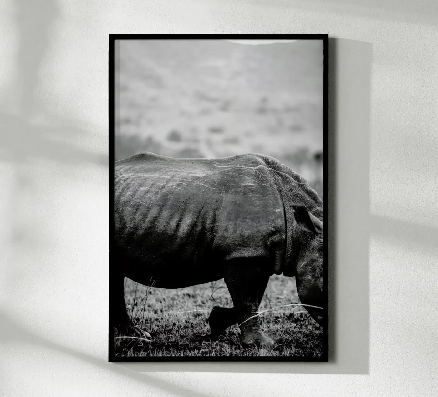 Black Rhino poster da Shot By Clint