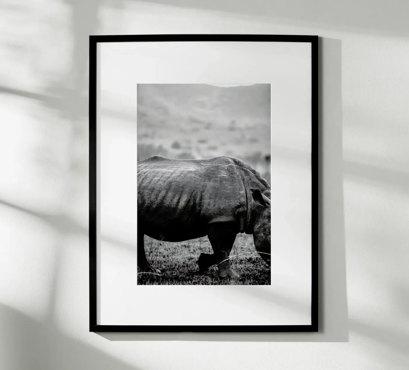 Black Rhino poster da Shot By Clint