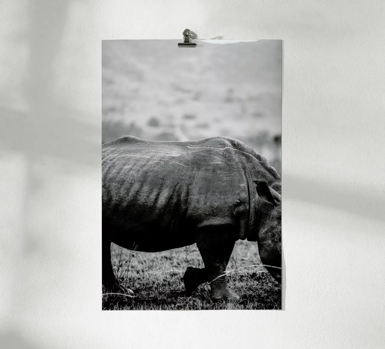 Black Rhino poster con telaio in plastica da Shot By Clint