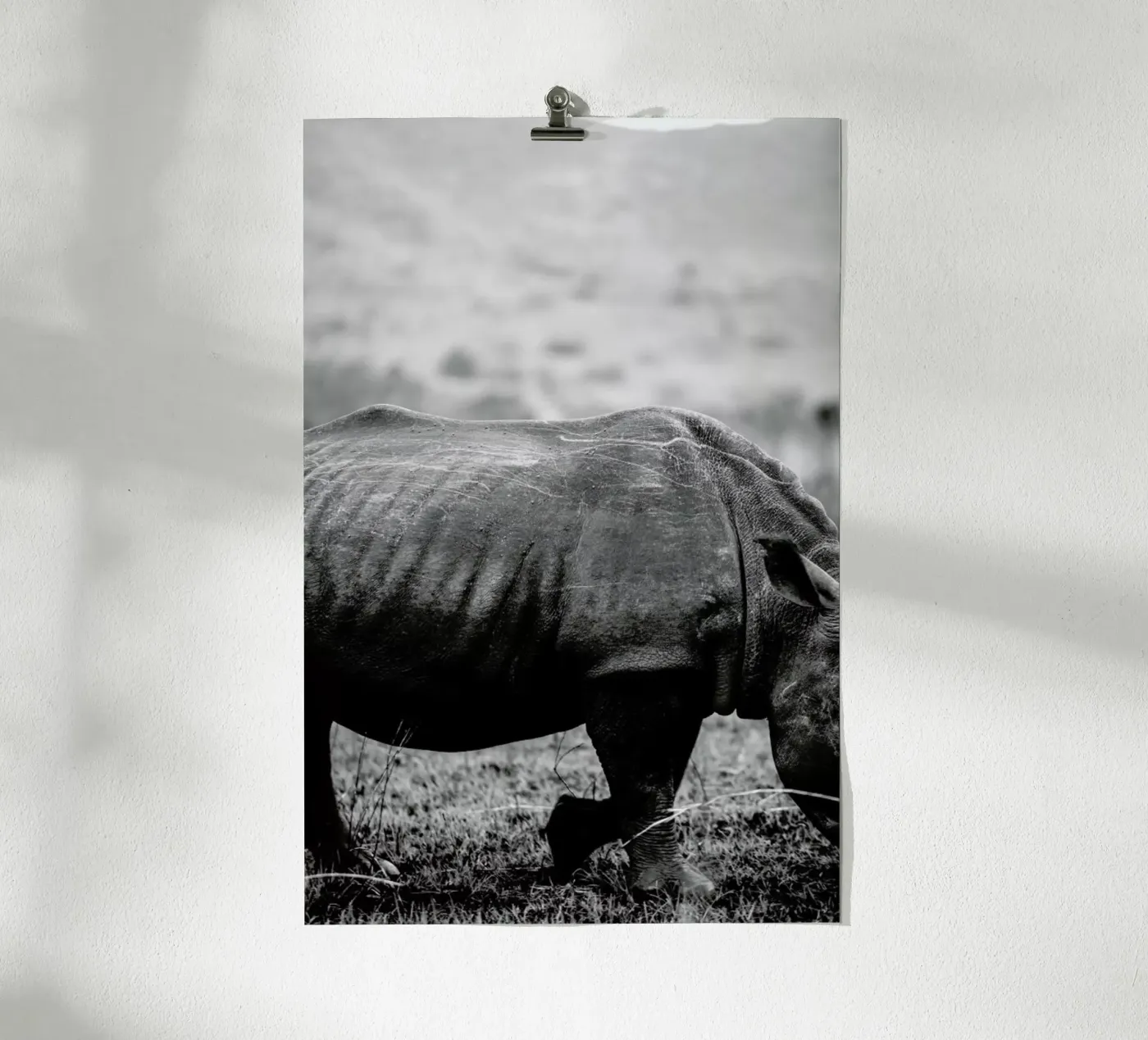Black Rhino poster da Shot By Clint