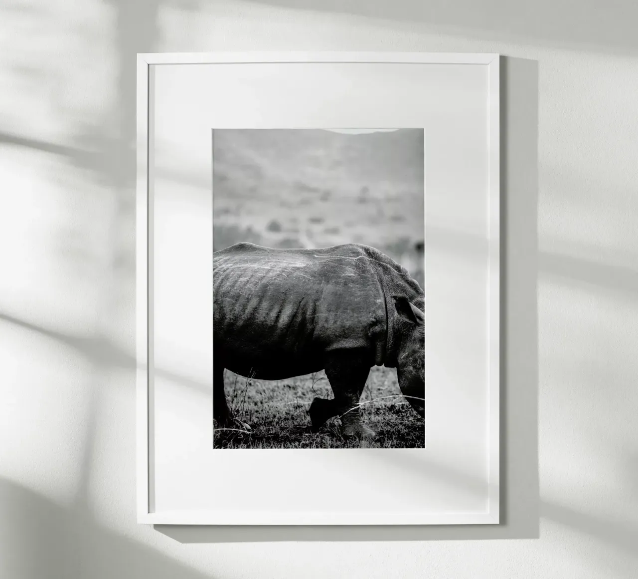 Black Rhino poster con telaio in plastica da Shot By Clint