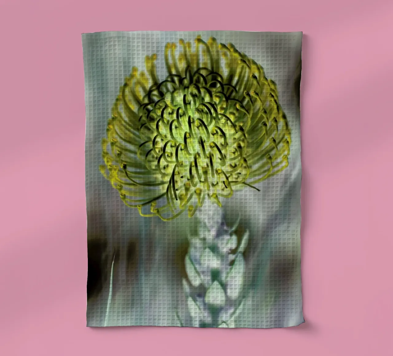 Pin Cushion 3 canovaccio da cucina da Shot By Clint
