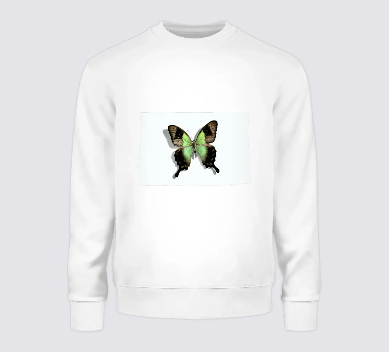 Butterflies 6 felpa da Günther Egger