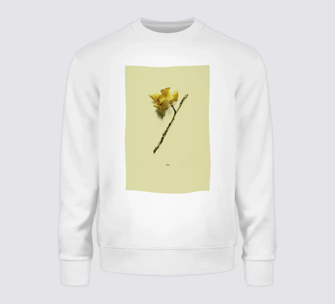 Botanico VII felpa da Elena Veronese