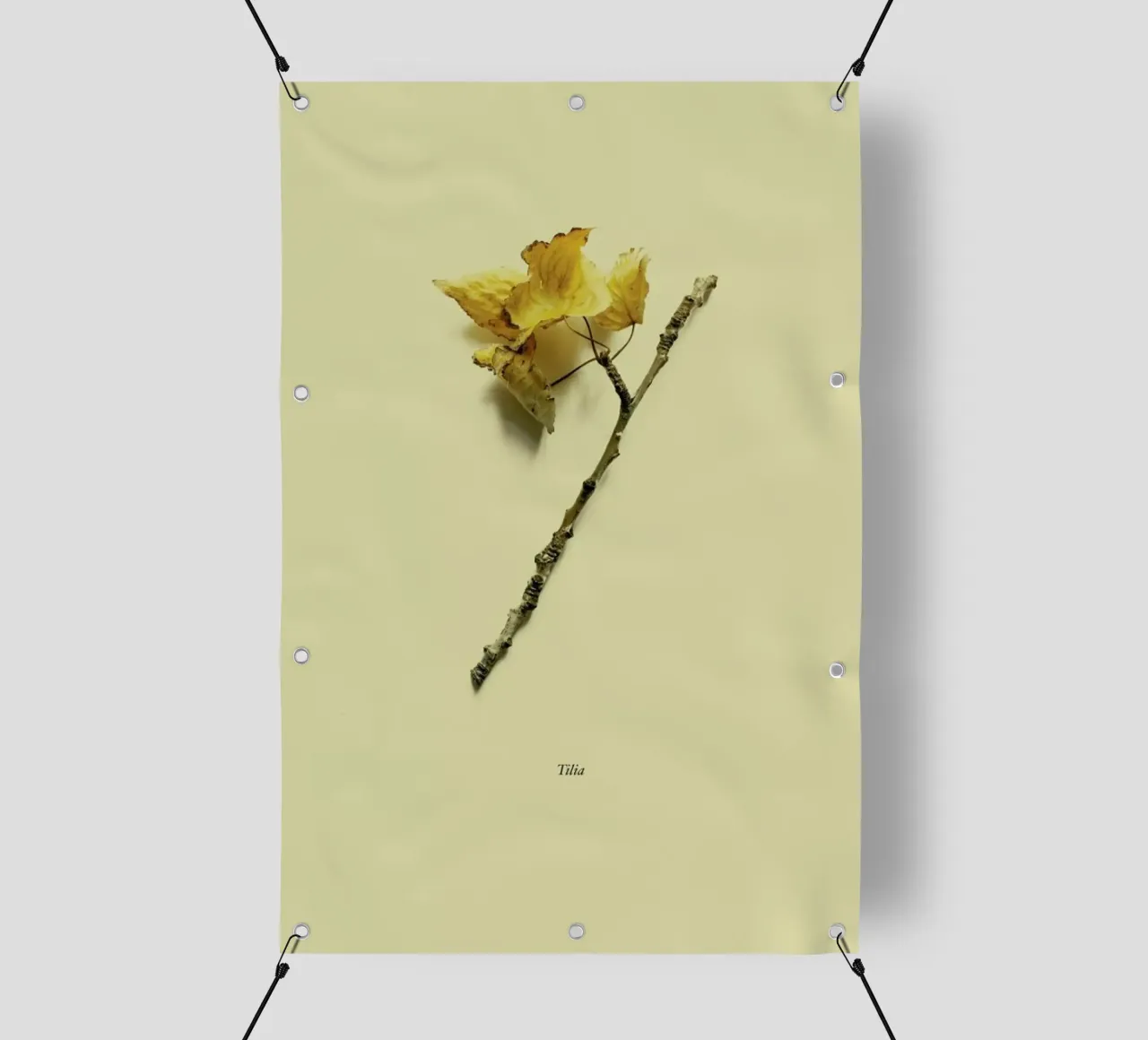 Botanico VII telo in pvc da Elena Veronese