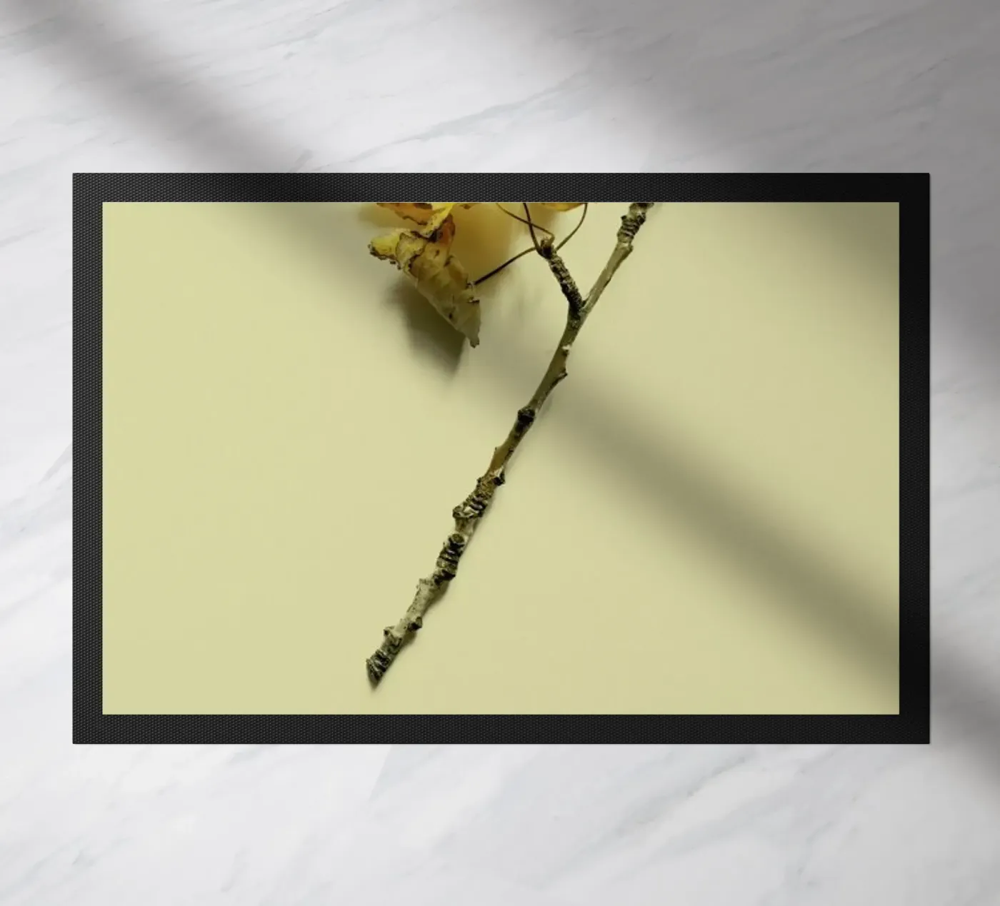 Botanico VII zerbino da Elena Veronese