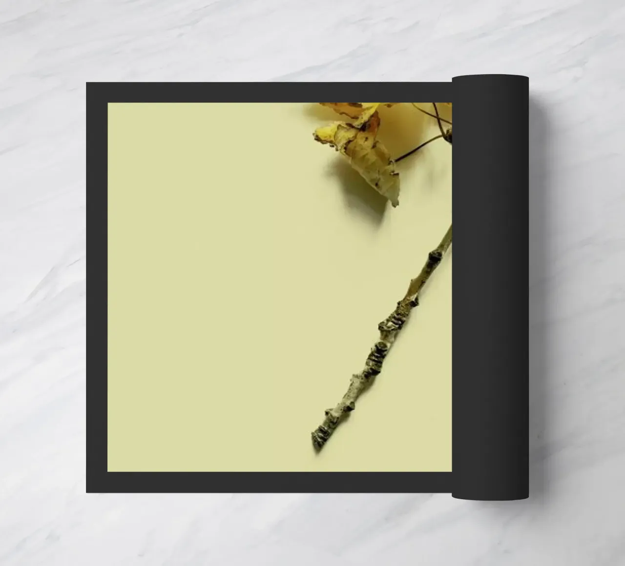 Botanico VII zerbino da Elena Veronese