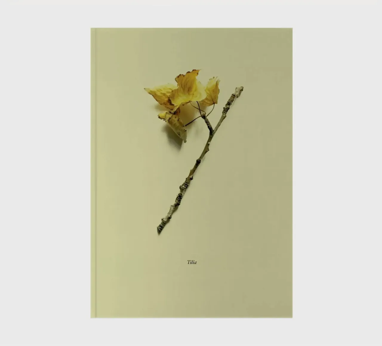 Botanico VII notebook by Elena Veronese