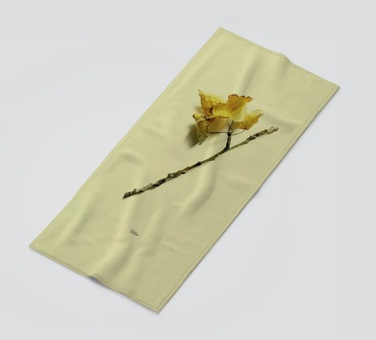 Botanico VII telo mare da Elena Veronese