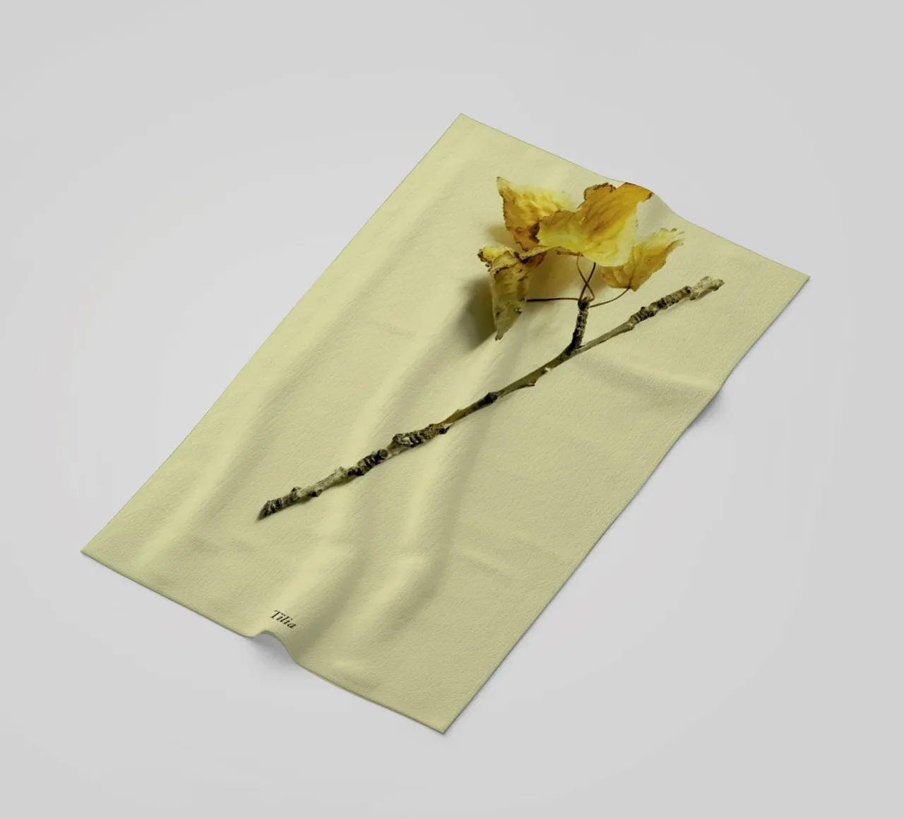 Botanico VII telo mare da Elena Veronese