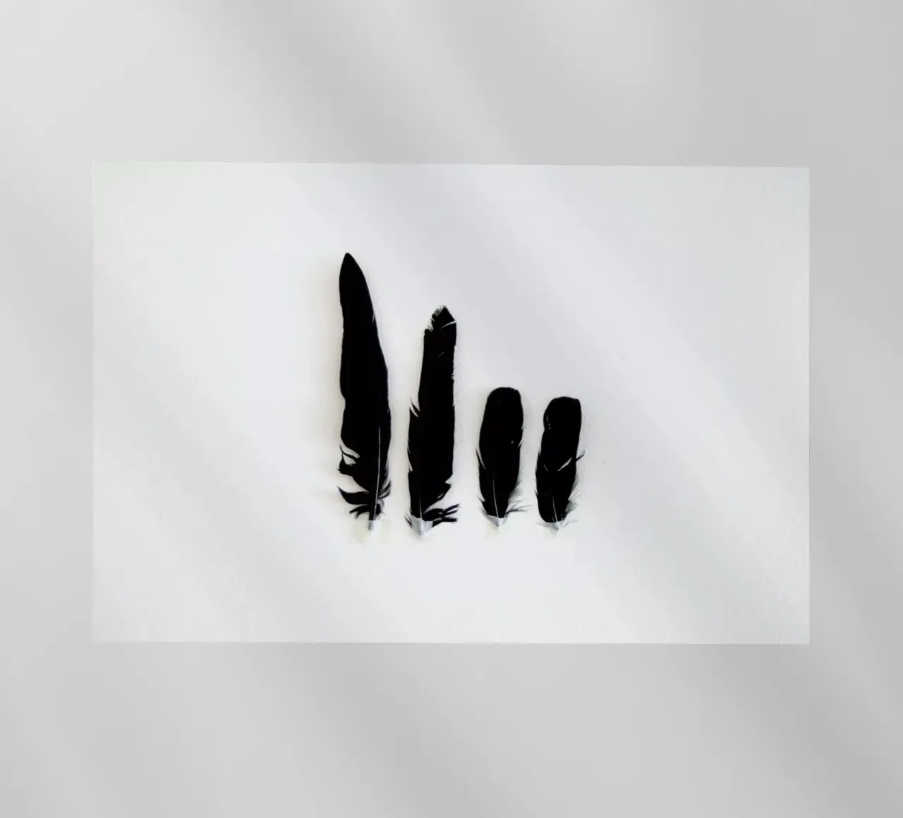 Black Feathers film rétro-éclairé de Miles of Light