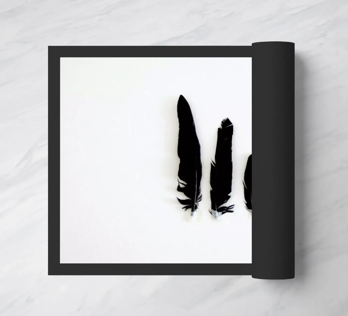 Black Feathers zerbino da Miles of Light