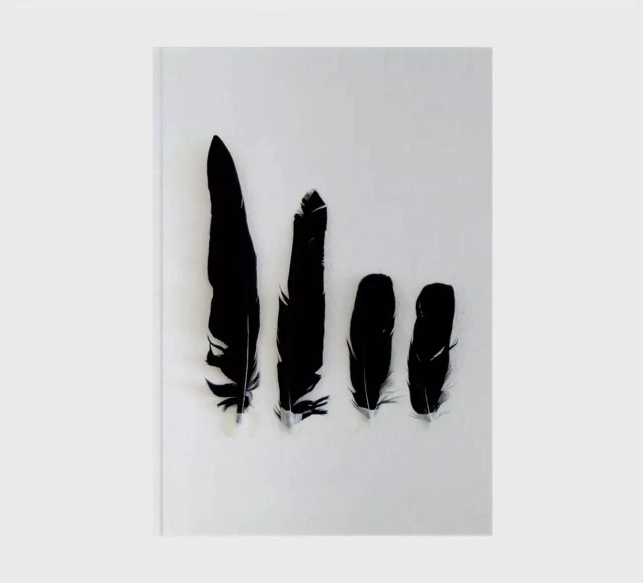 Black Feathers Notizbuch von Miles of Light