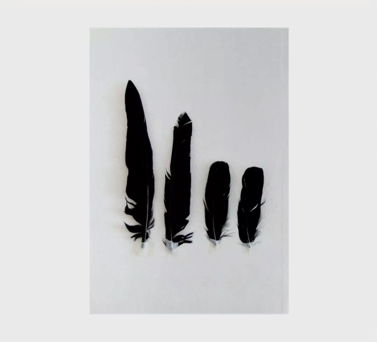 Black Feathers notebook by Miles of Light