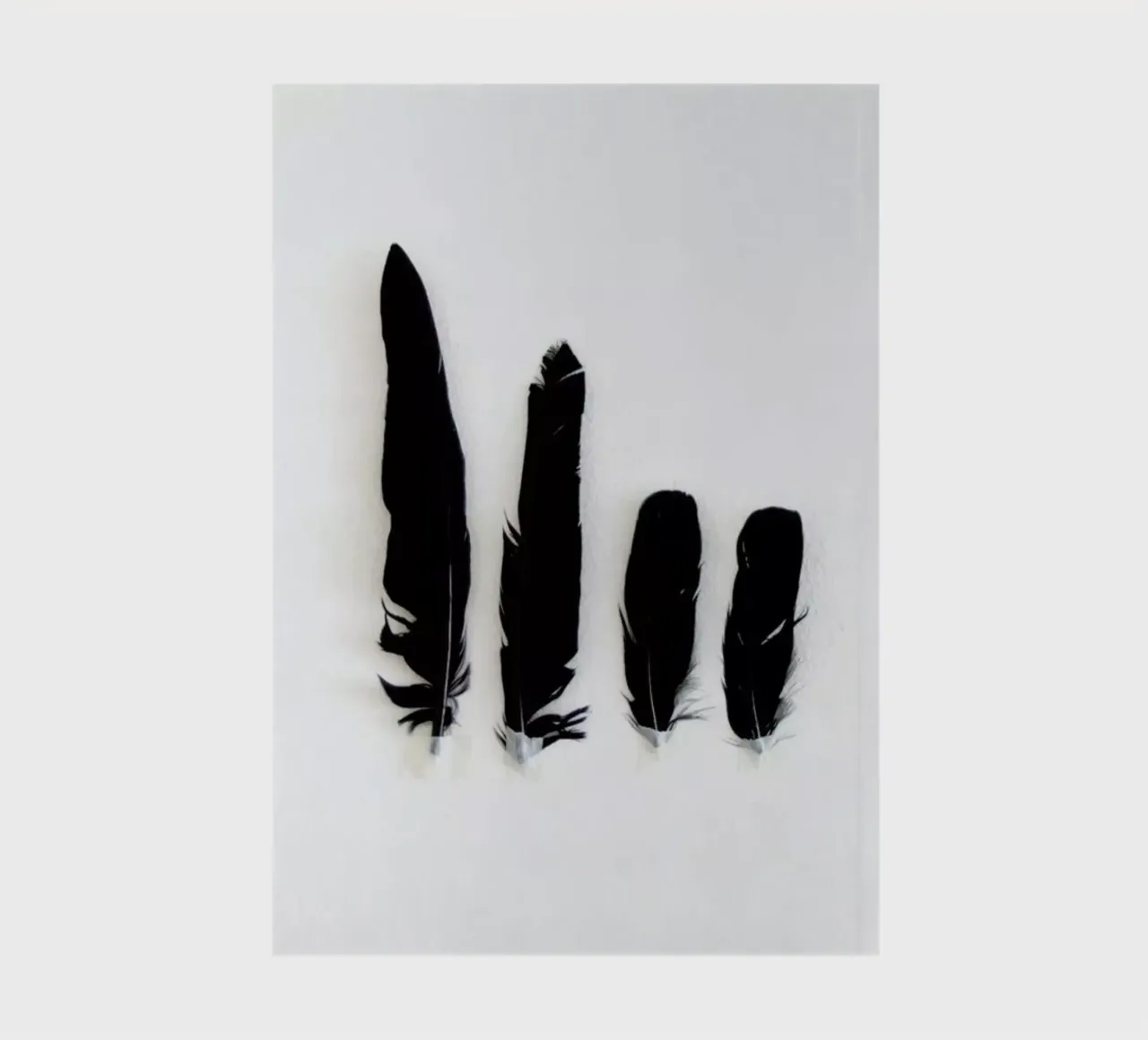 Black Feathers Notizbuch von Miles of Light