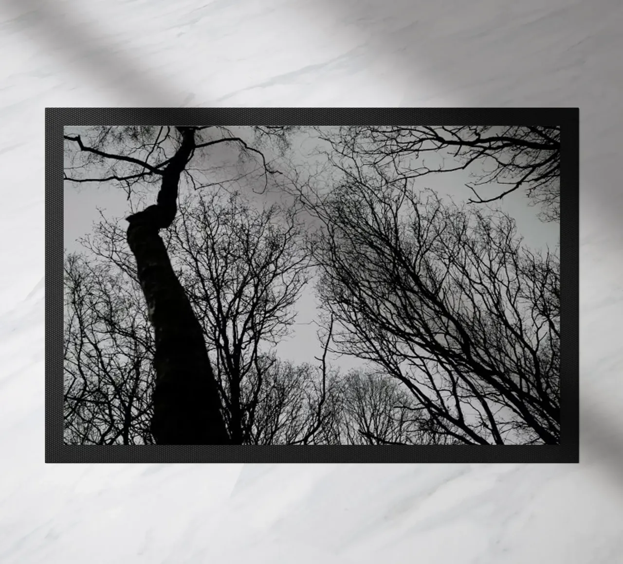 Everglades zerbino da Shot By Clint