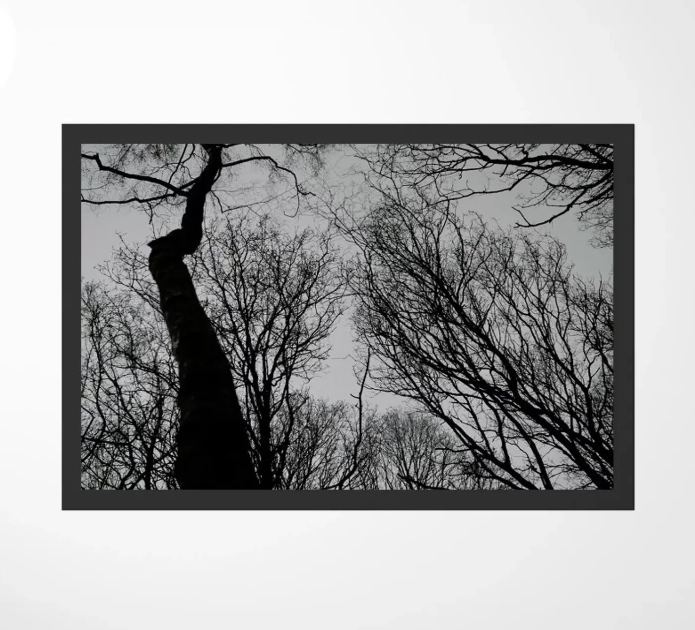 Everglades deurmat van Shot By Clint