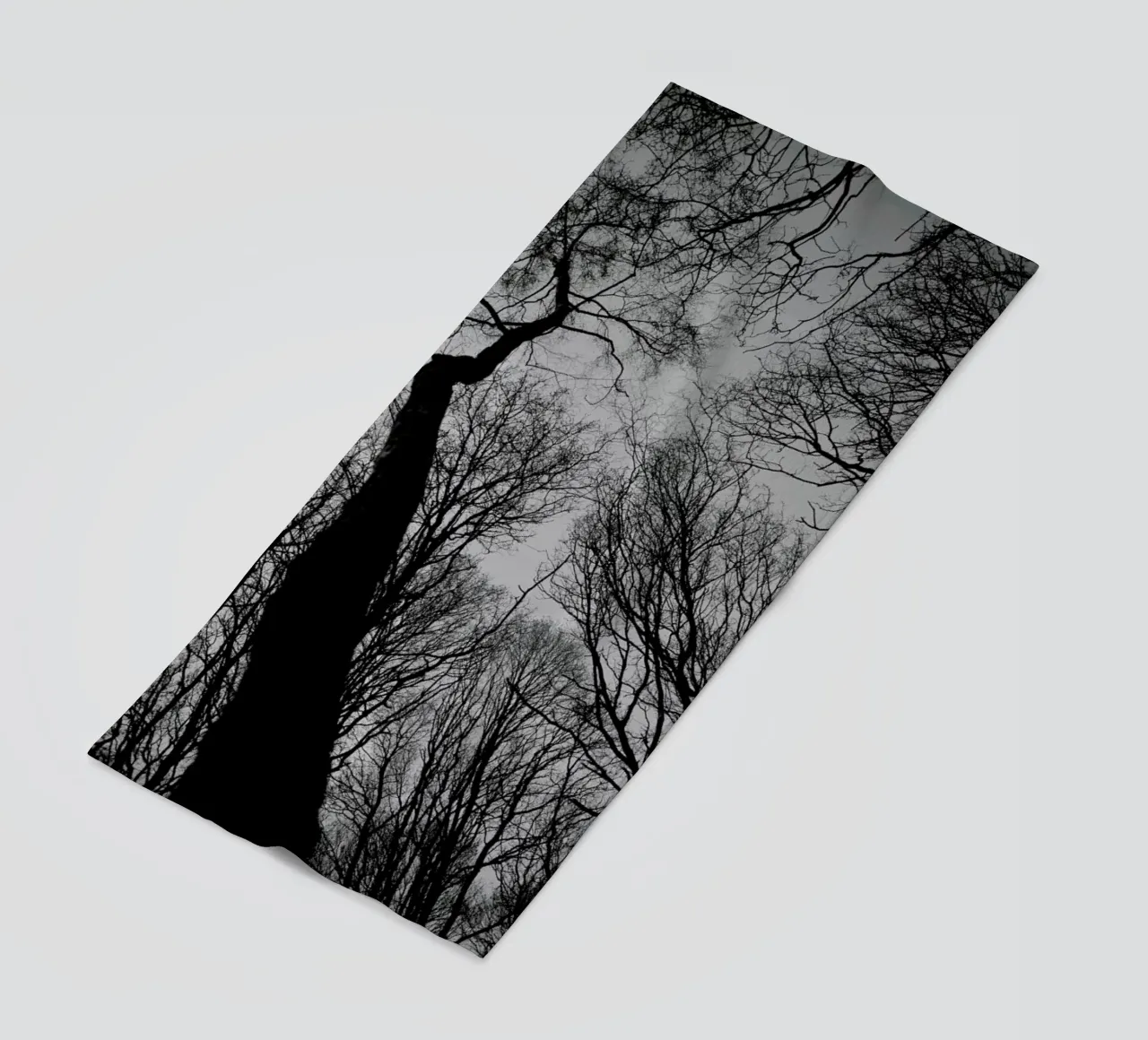 Everglades telo mare da Shot By Clint