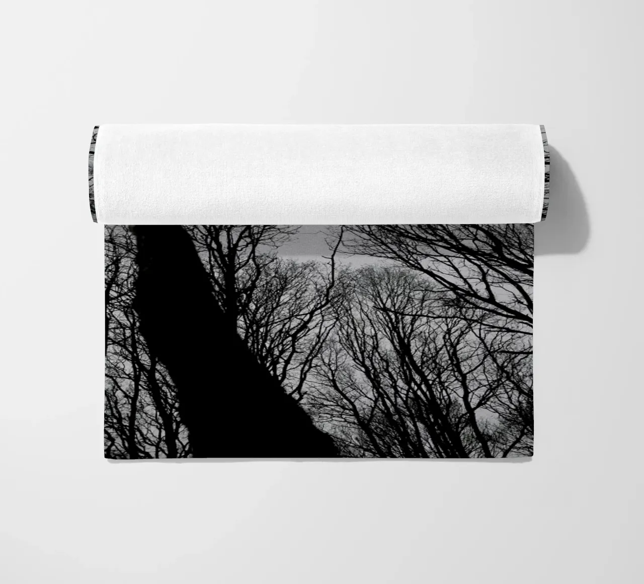 Everglades telo mare da Shot By Clint