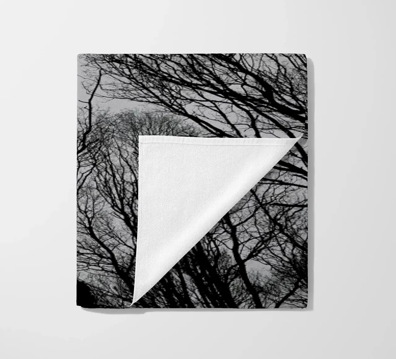 Everglades telo mare da Shot By Clint