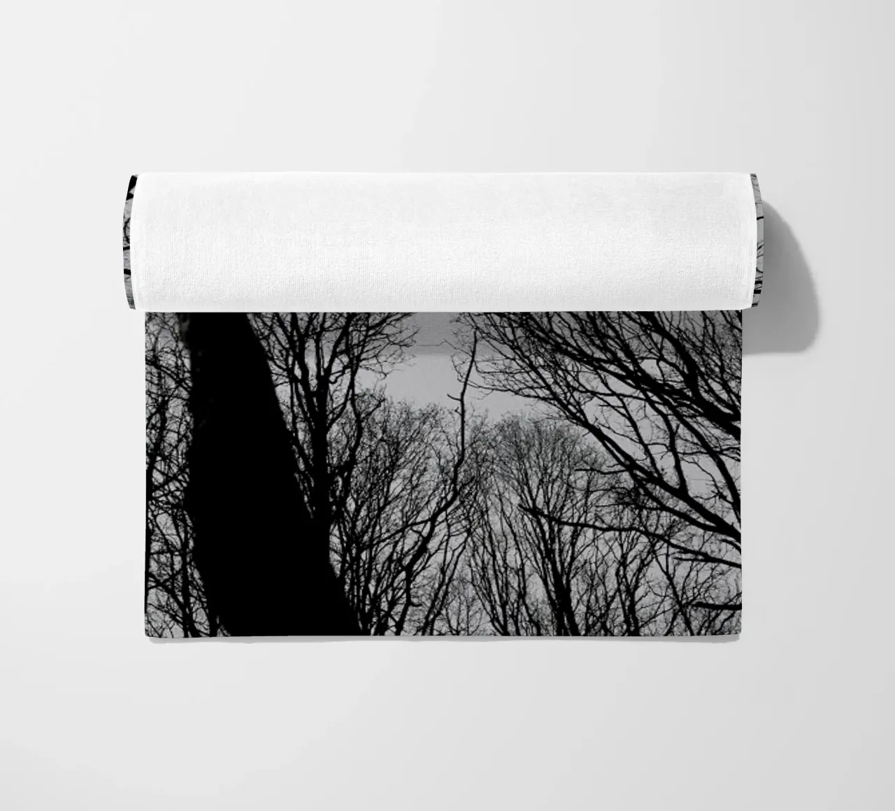 Everglades telo mare da Shot By Clint